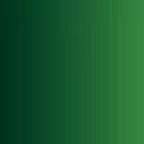 Vallejo Xpress Color Forest Green 18 ml (72465)
