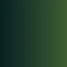 Vallejo Xpress Color Armor Green 18 ml (72466)