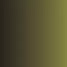 Vallejo Xpress Color Camouflage Green 18 ml (72467)