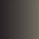 Vallejo Xpress Color Landser Grey 18 ml (72469)