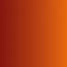 Vallejo Xpress Color Phoenix Orange 18 ml (72478)