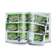 Vallejo Landscapes of War Wol. 2 Spanish (75033)