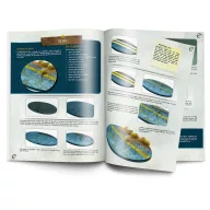Vallejo Painting War Bases English (75045)