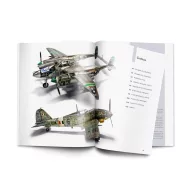 Vallejo Weathering Effects on Aircraft Spanish (75057)