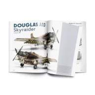 Vallejo Weathering Effects on Aircraft Spanish (75057)