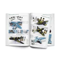 Vallejo Weathering Effects on Aircraft Spanish (75057)