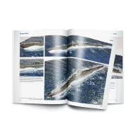 Vallejo Scapa Flow Spanish (75059)