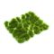 Vallejo Wild Tuft Dense Green (6 mm) L (SC413)